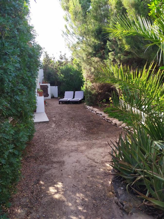 Ca N'Antonia Mestre Playa Migjorn Εξωτερικό φωτογραφία